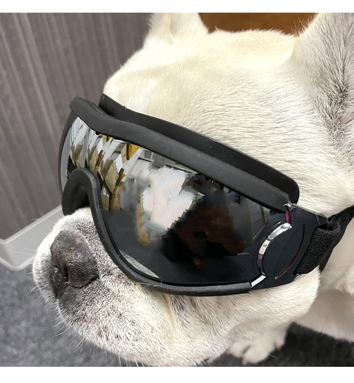 リニューアル】犬 サングラス ペット用 ゴーグル ミラーレンズ UV