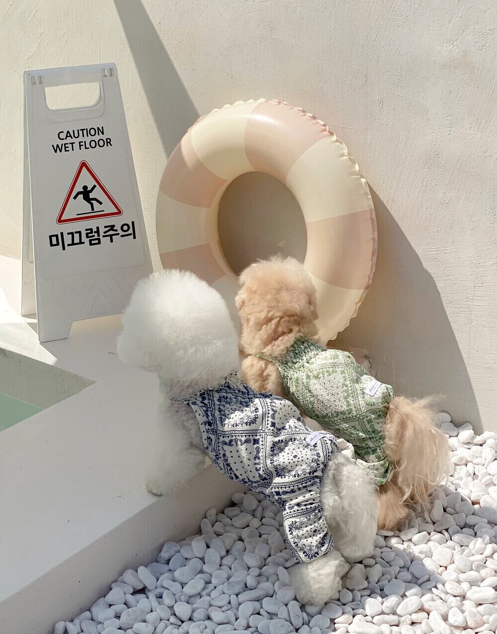 【予約】CM0015 サマーペイズリーロンパース