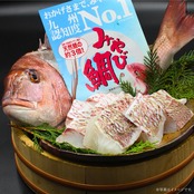 みやび鯛【切り身 5P】