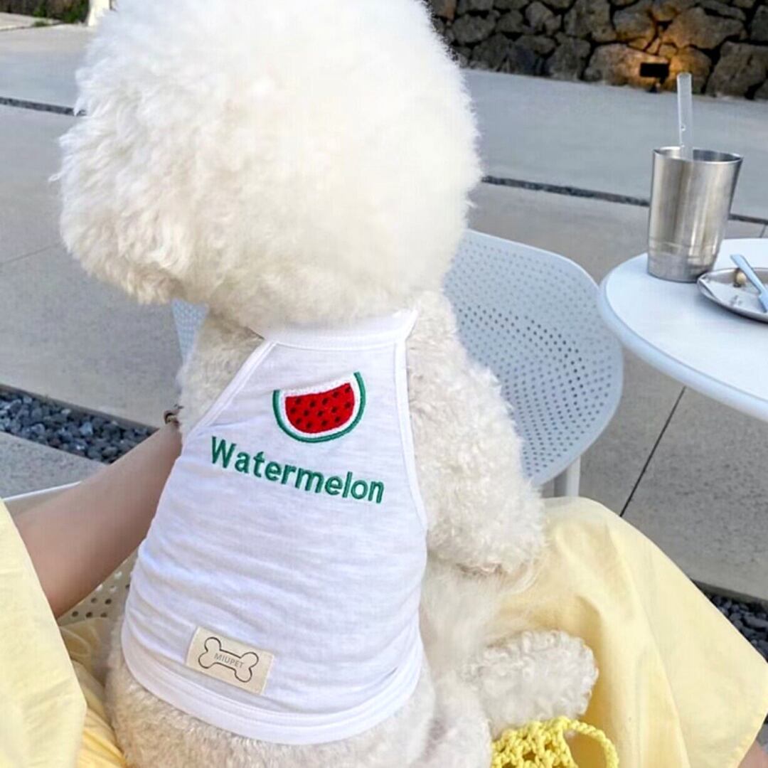 【全3色】フルーツの刺しゅうが可愛いキャミソール d1080