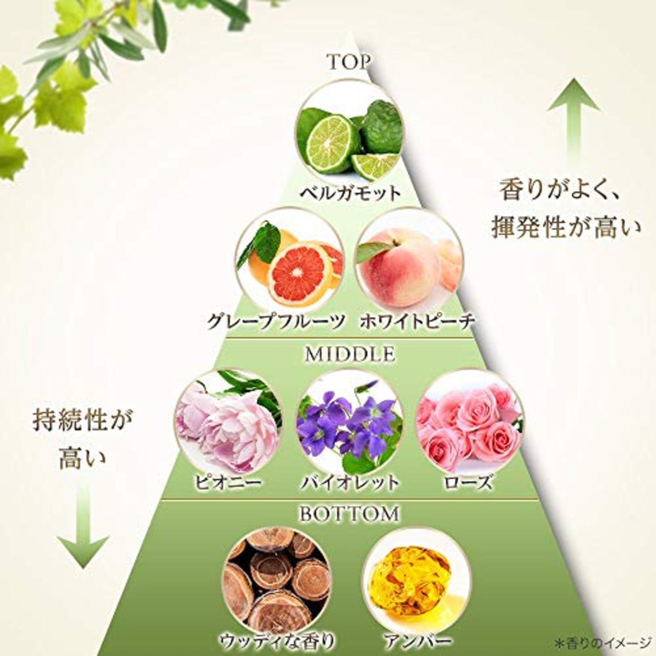 Dove(ダヴ) ボタニカルセレクション ダメージプロテクション コンディショナー つめかえ2個 詰替え用 350g×2