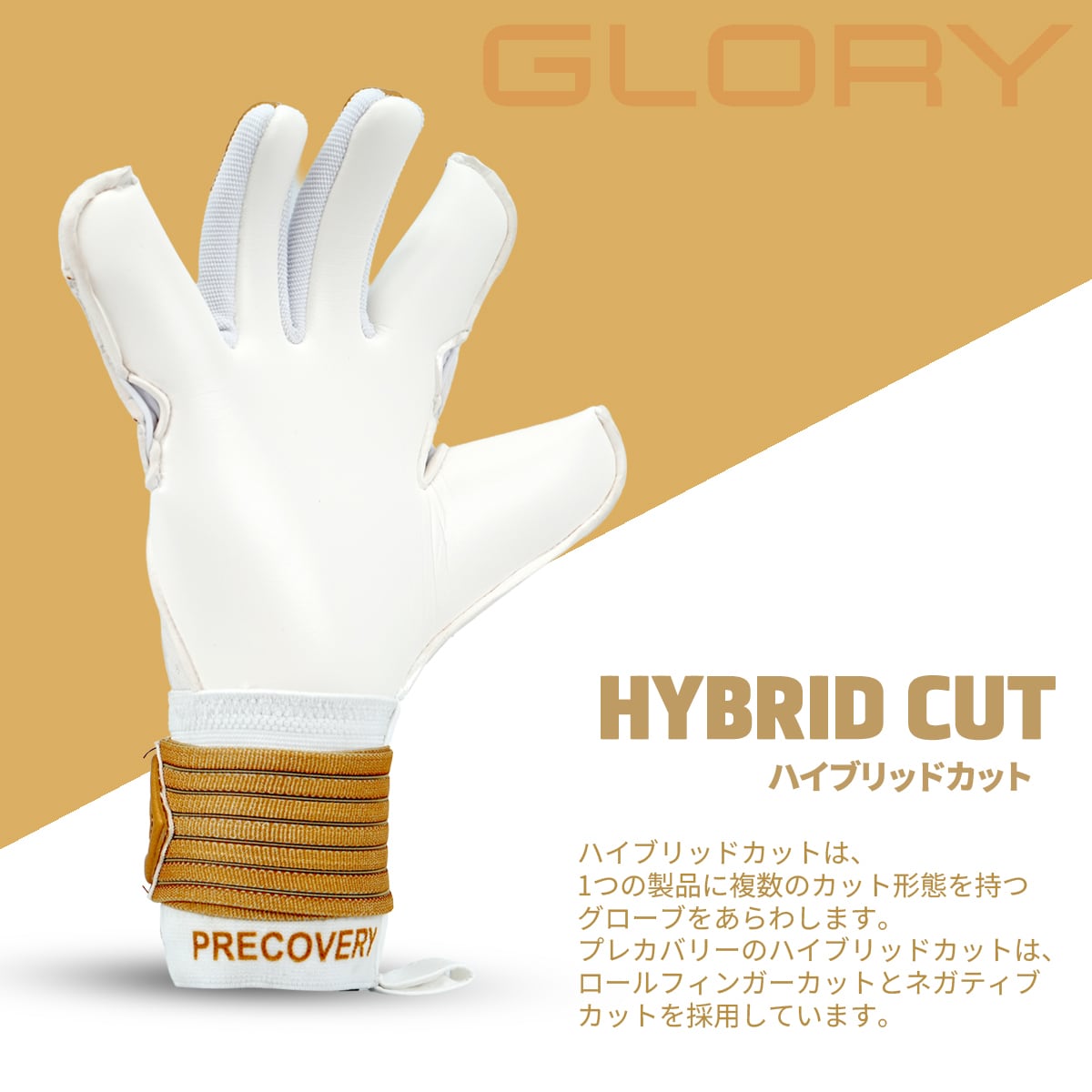 GLORY 5.0 GOLD EDITION STANDARD | PRECOVERY プレカバリー
