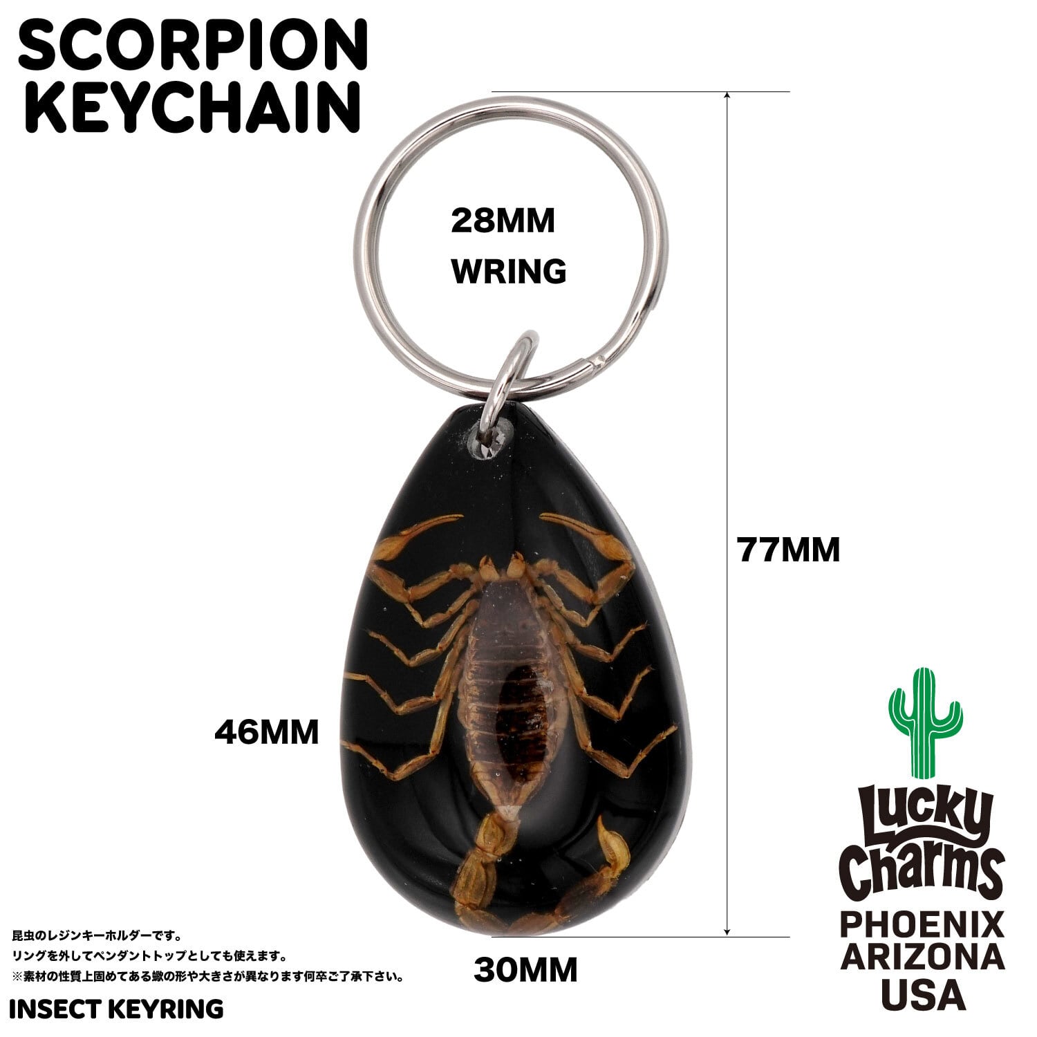 USA ARIZONA SCORPION DROP KEYCHAIN 蠍 サソリ スコーピオン お守り