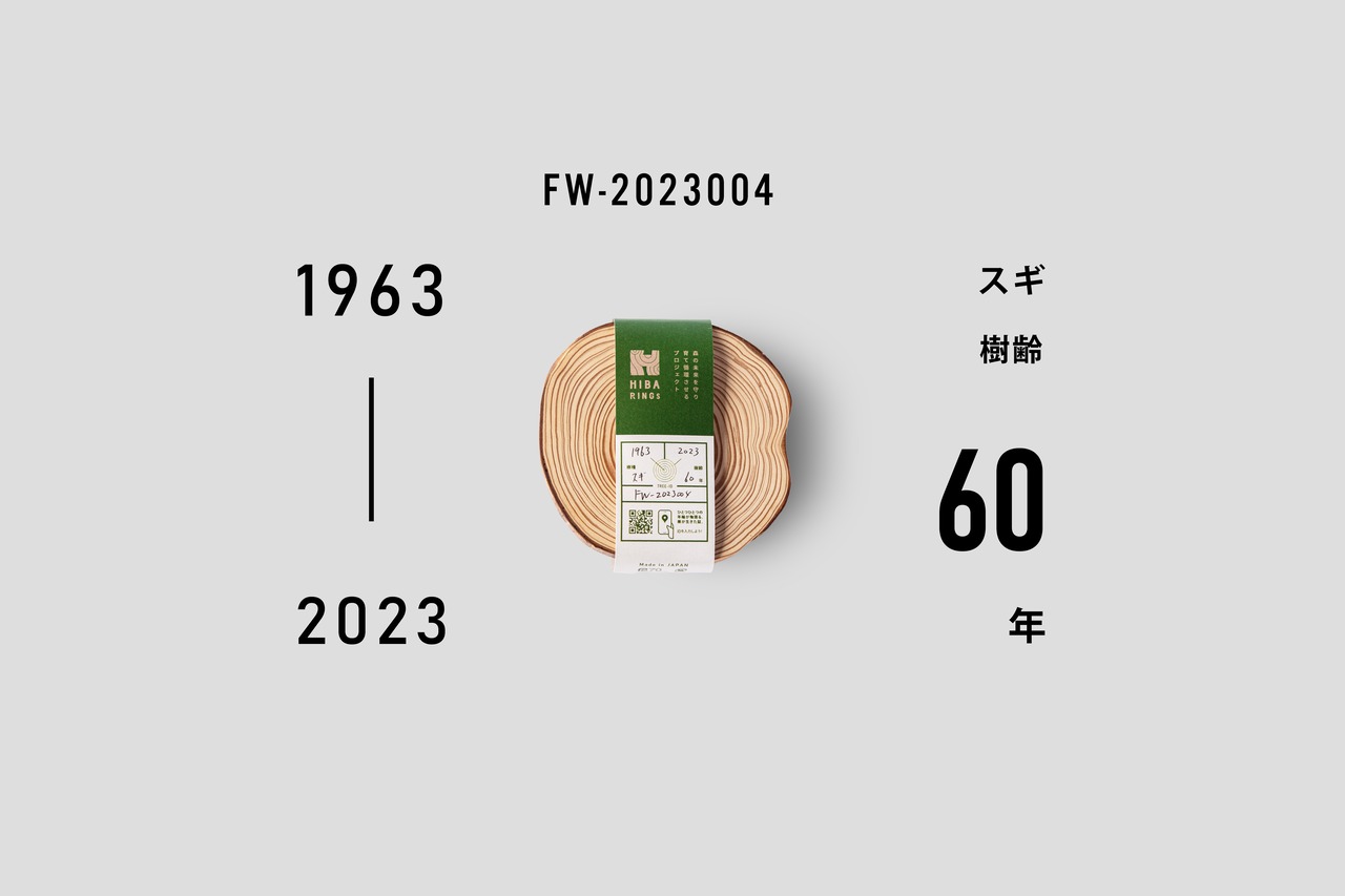 スギ コースター 1963-2023