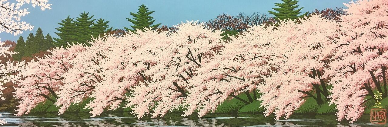 池畔の桜
