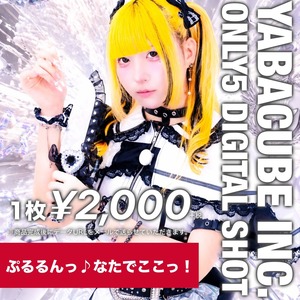 【5枚限定/ZTPM】ぷるるんっ♪なたでここっ！ 5枚限定メッセージ落書き写真データ【¥2,200】