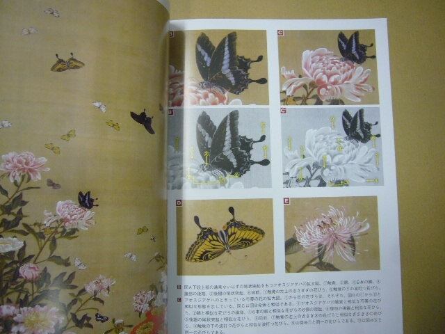 伊藤若冲製動植綵絵研究: 描かれた形態の相似性と非合同性について 伊藤若冲製動植綵絵研究 描かれた形態の相似性と非合同性について