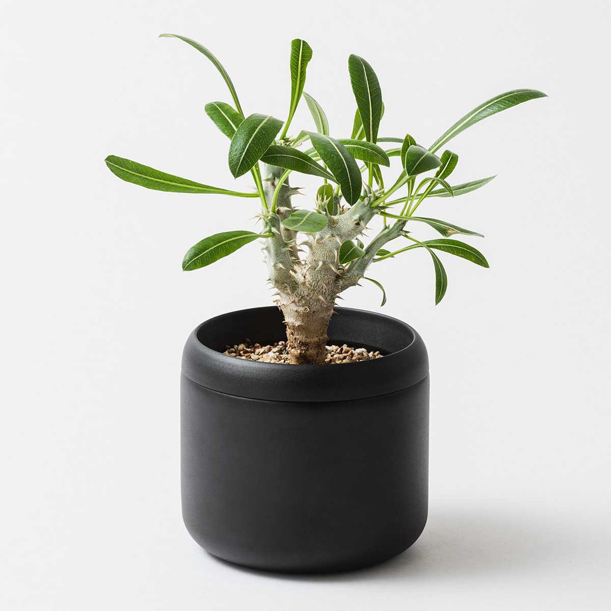 藤田金属 FUJITA KINZOKU PLANT POT HACHI ハチ プランターポット 3号