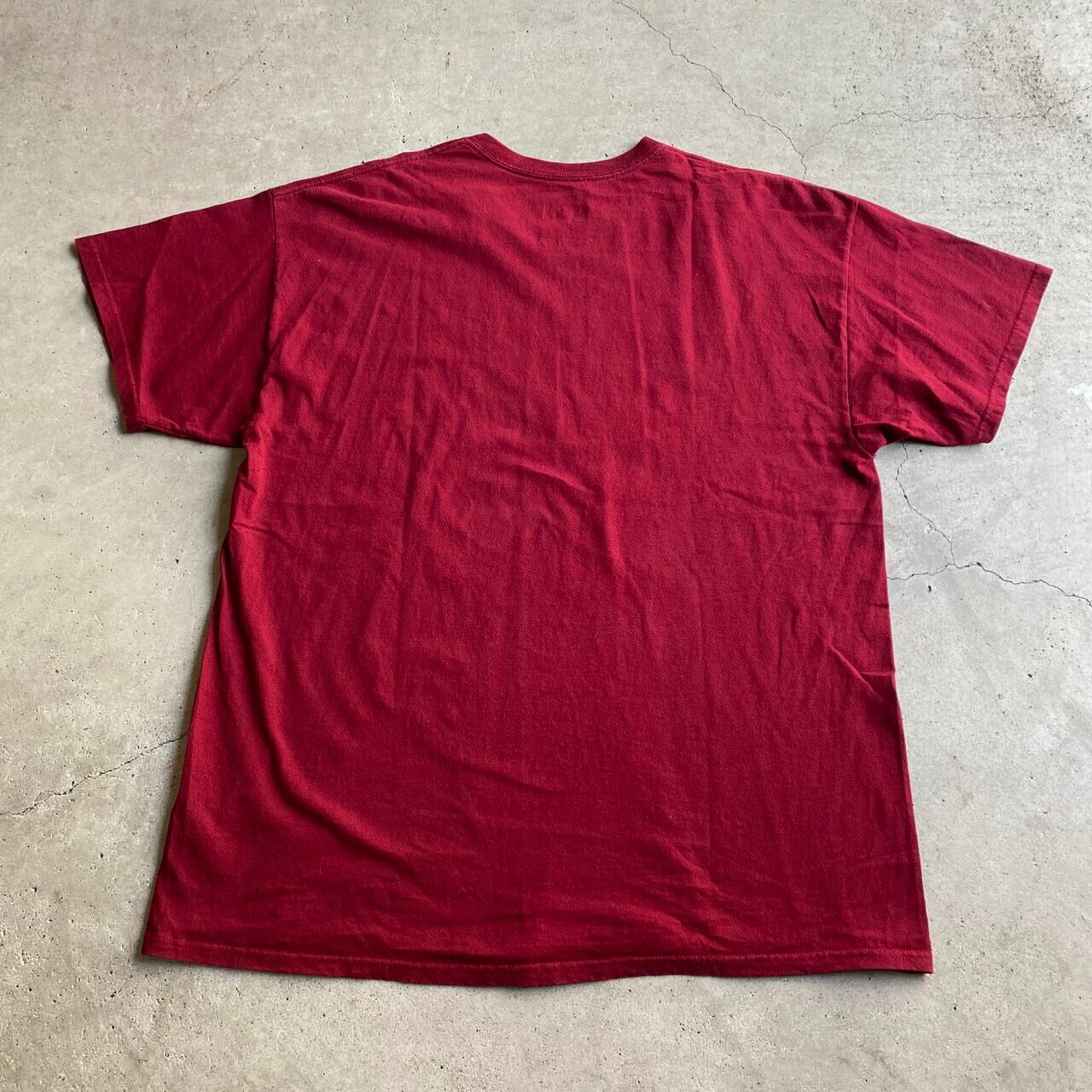 NFL ワシントン レッドスキンズ WASHINGTON REDSKINS チームロゴ