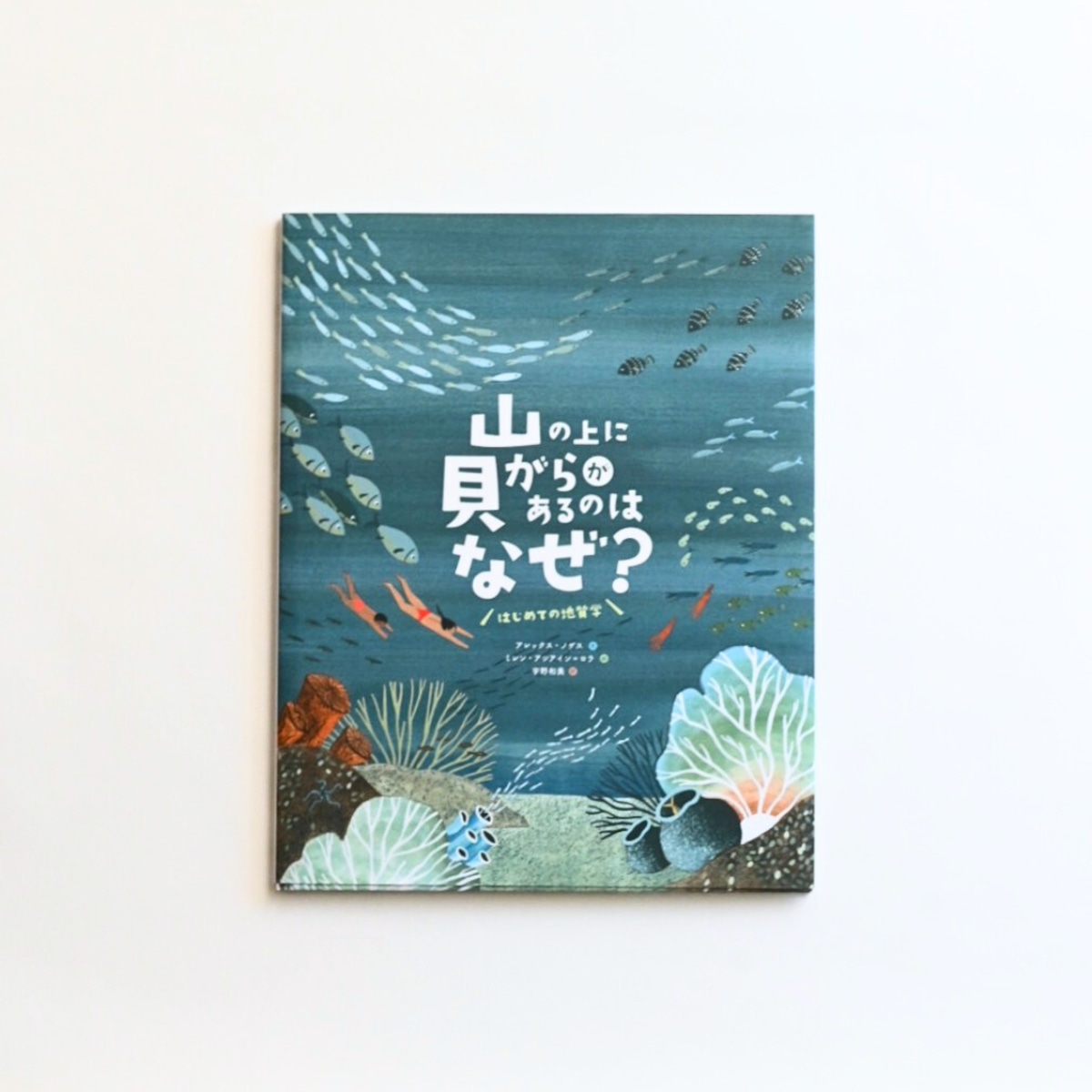 山の上に貝がらがあるのはなぜ？ | MENDEL BOOKSTORE 絵本と自然