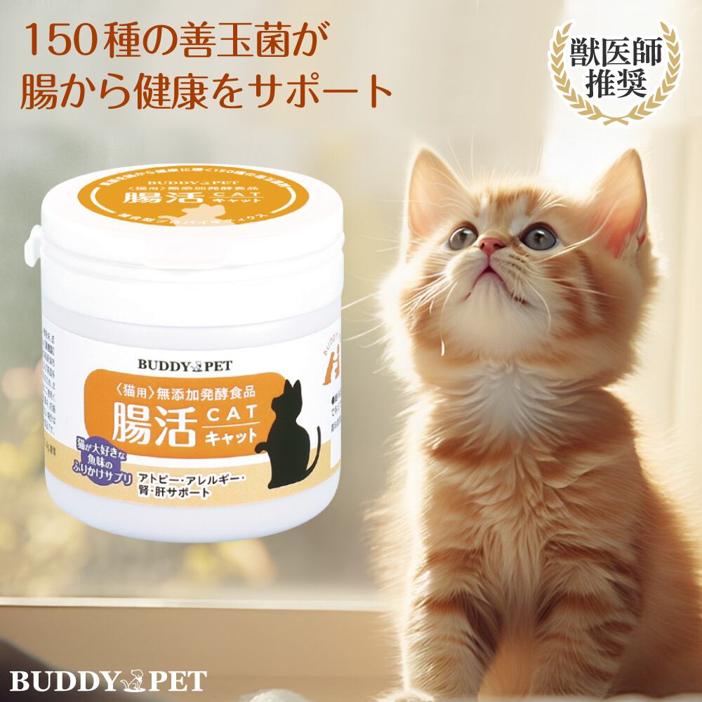 ネコ用 腸内環境 サプリメント 腸活キャット 45g | BUDDYPET