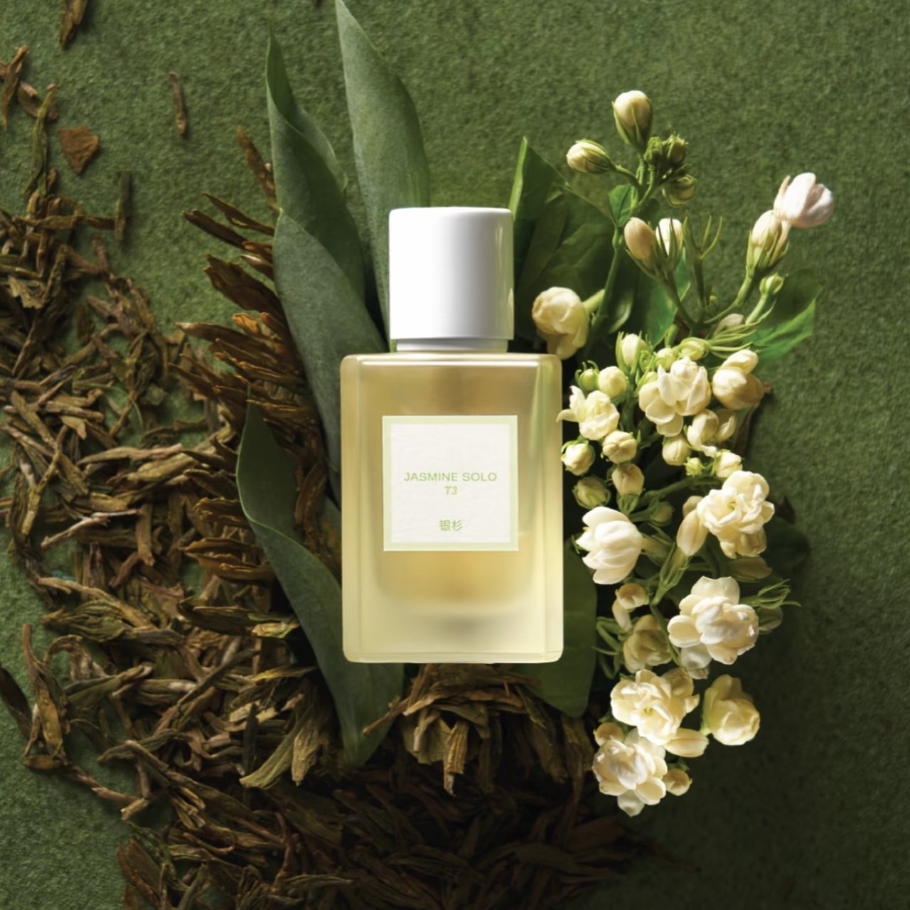 【銀杉】JASMINE SOLO