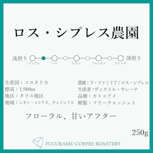 コスタリカ ラ・ファミリア/ロス・シプレス　甘さ際立つ【ミディアム＋】250g