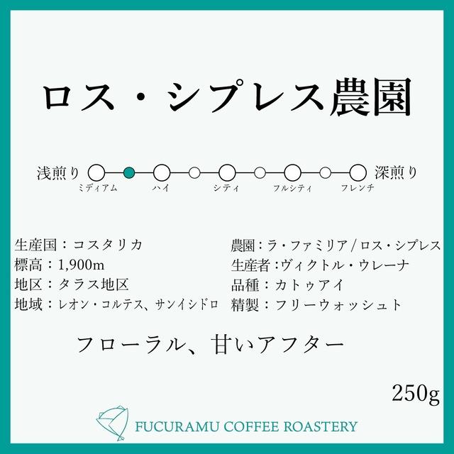 コスタリカ ラ・ファミリア/ロス・シプレス　甘さ際立つ【ミディアム＋】250g