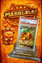PSA10】ヒナツ SR (S10a 086/071) ポケモンカード 鑑定品 | ちっちの