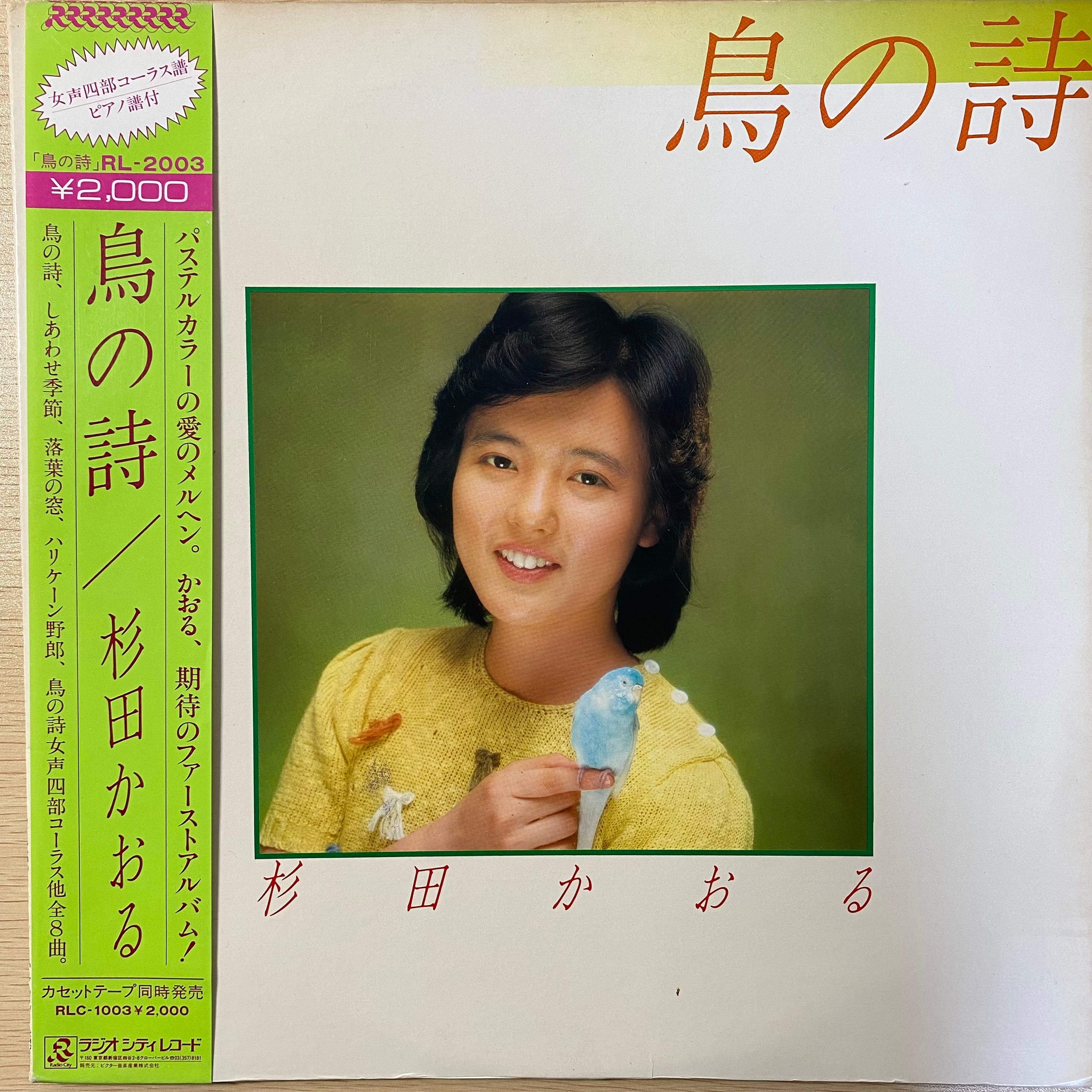 杉田かおる 鳥の詩 1981年アルバム初CD化＋オリカラ4曲追加 極レア新品同様 杉田かおる / 鳥の詩 | 中古レコード通販 エバープレイ