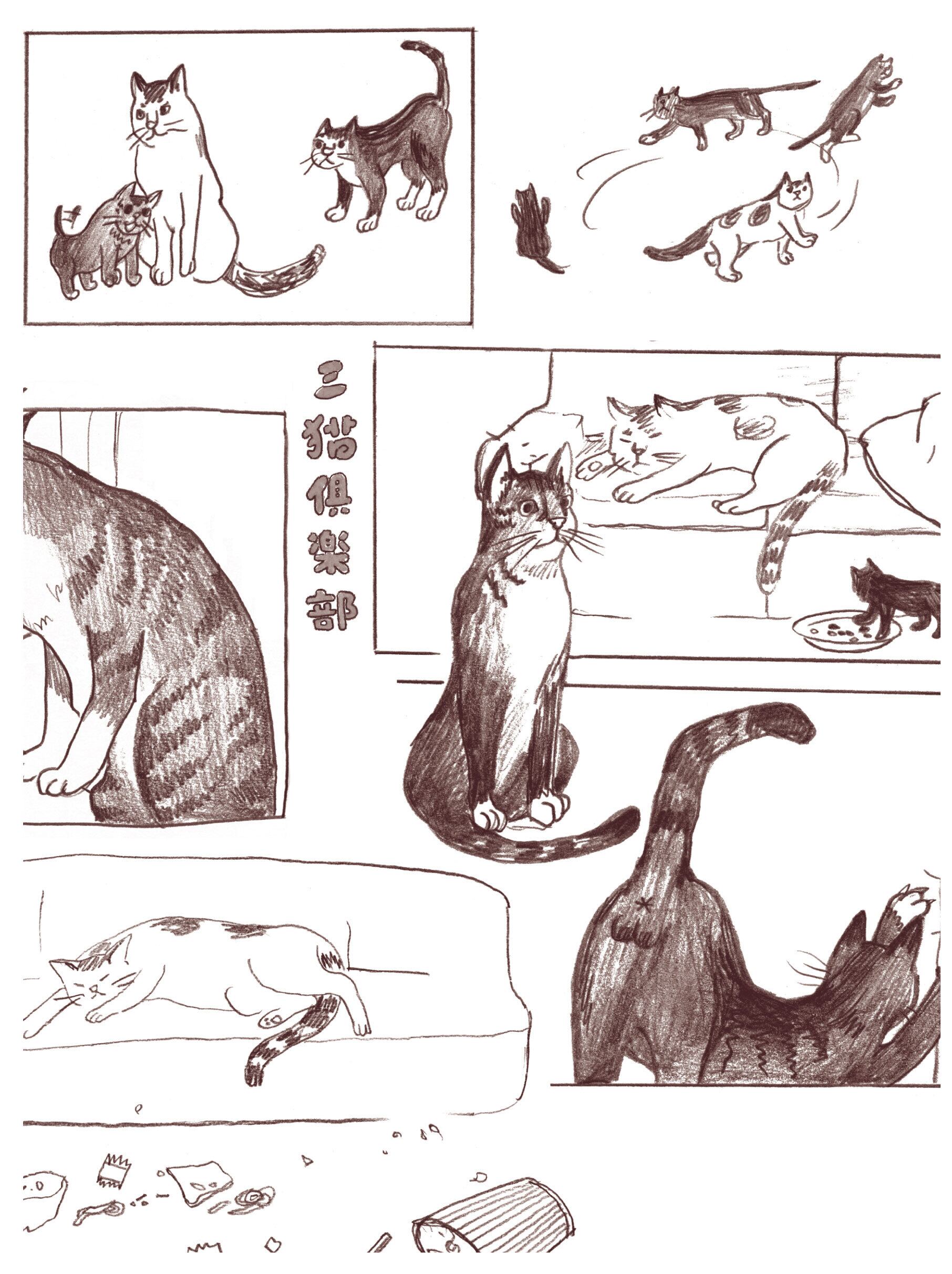 サイン本】三猫倶楽部（一）/ 咪仔 | 本屋ブーケ
