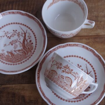 DENBY デンビー Pampas ブラウン カップ ソーサー パンパス ボーダー 
