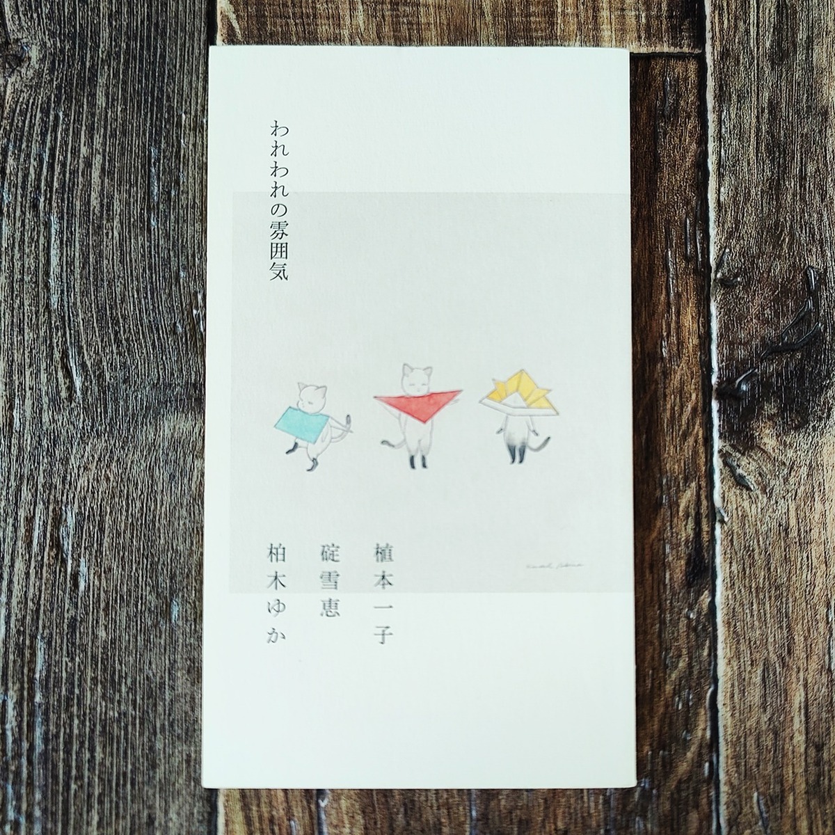 われわれの雰囲気 / 植本一子、碇雪恵、柏木ゆか | NutsBookStand