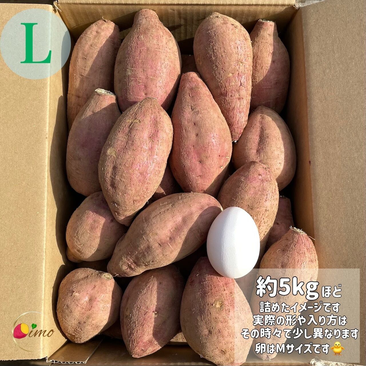 安納芋 Lサイズ 20kg｜箱別 | aimo農園