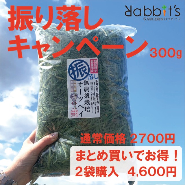 【２袋 6/14までまとめ買いキャンペーン】振り落としオーツヘイ300ｇ【送料・税込み】