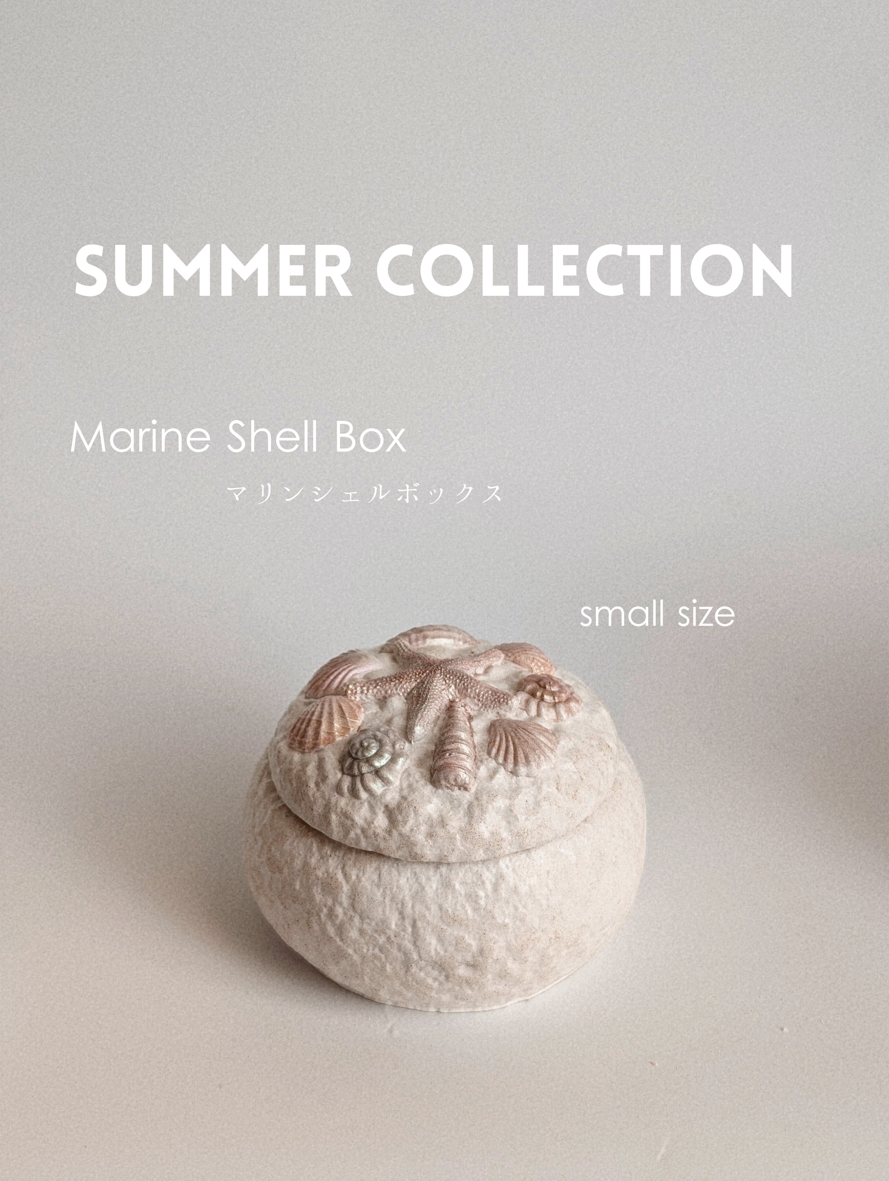 コンクシェル Conch shell(コンクシェル)#2 | inmehome