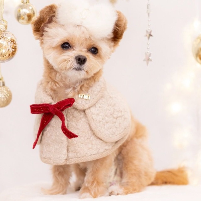 暖かループボアのケープ　犬服猫服　00518