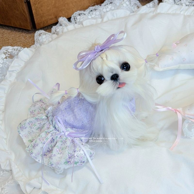 パープルニットのドッキングワンピース 犬服 01258