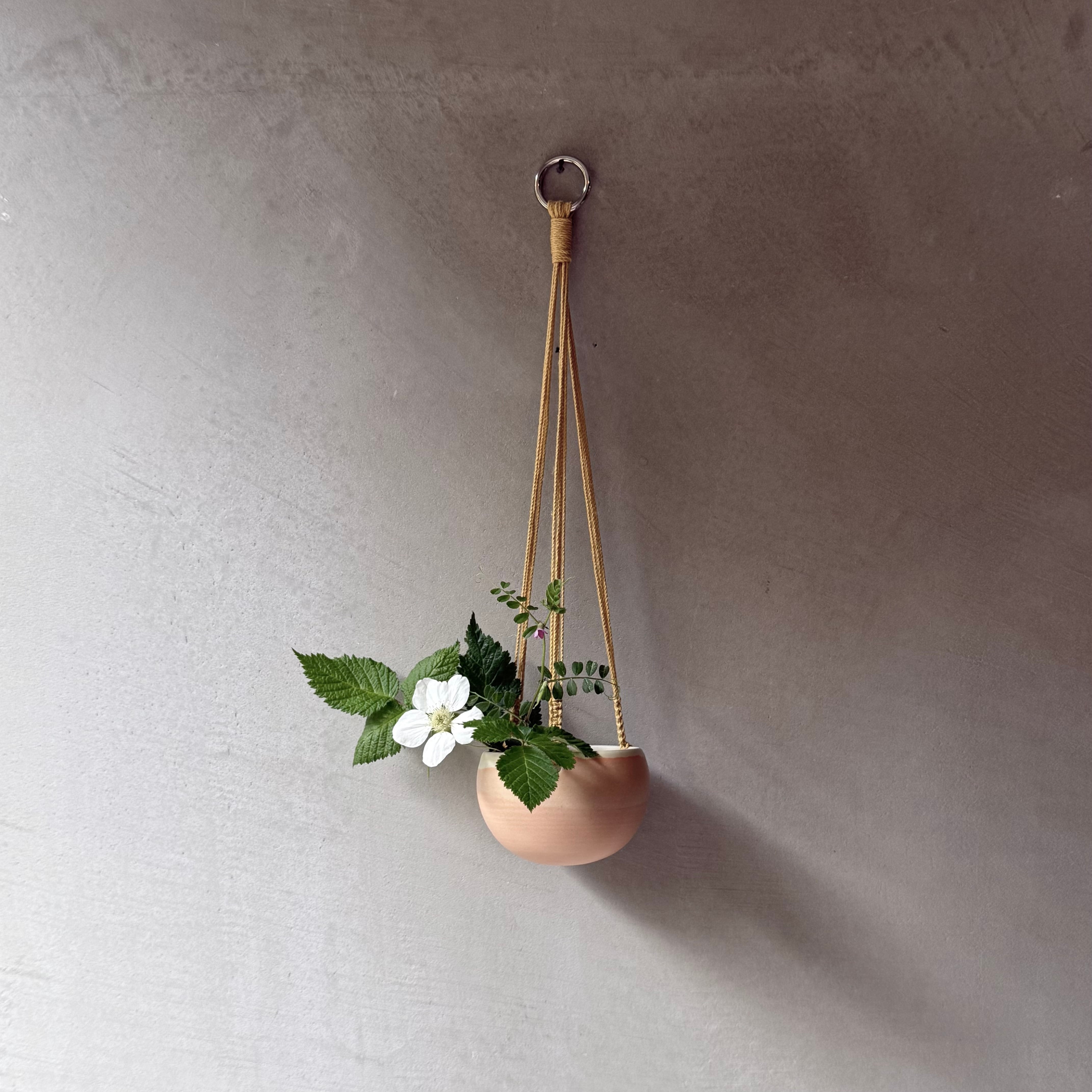 中村かりん ハンギングポット