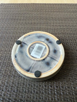 フィロデンドロン・ホワイトプリンセス