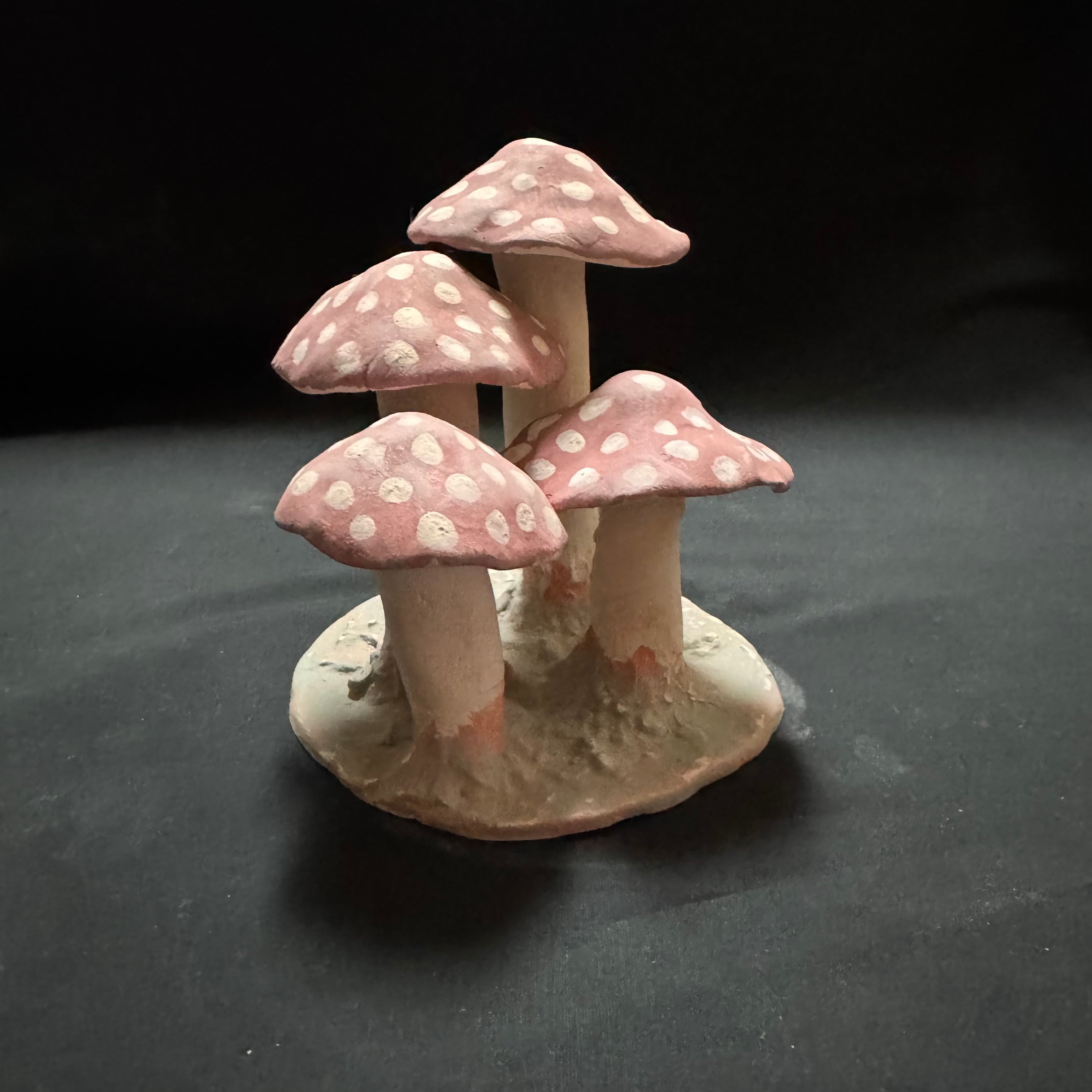 シェルター | ガラダ堂 garadadou