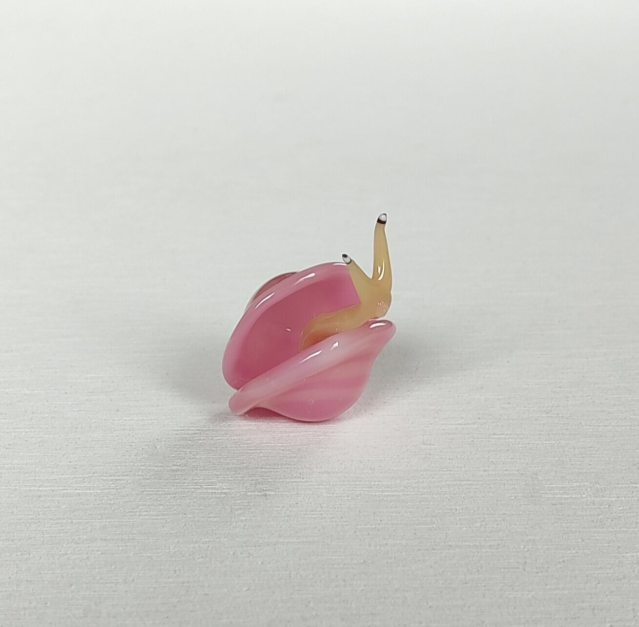 サクラ貝 | ガラス細工タビビトノキ