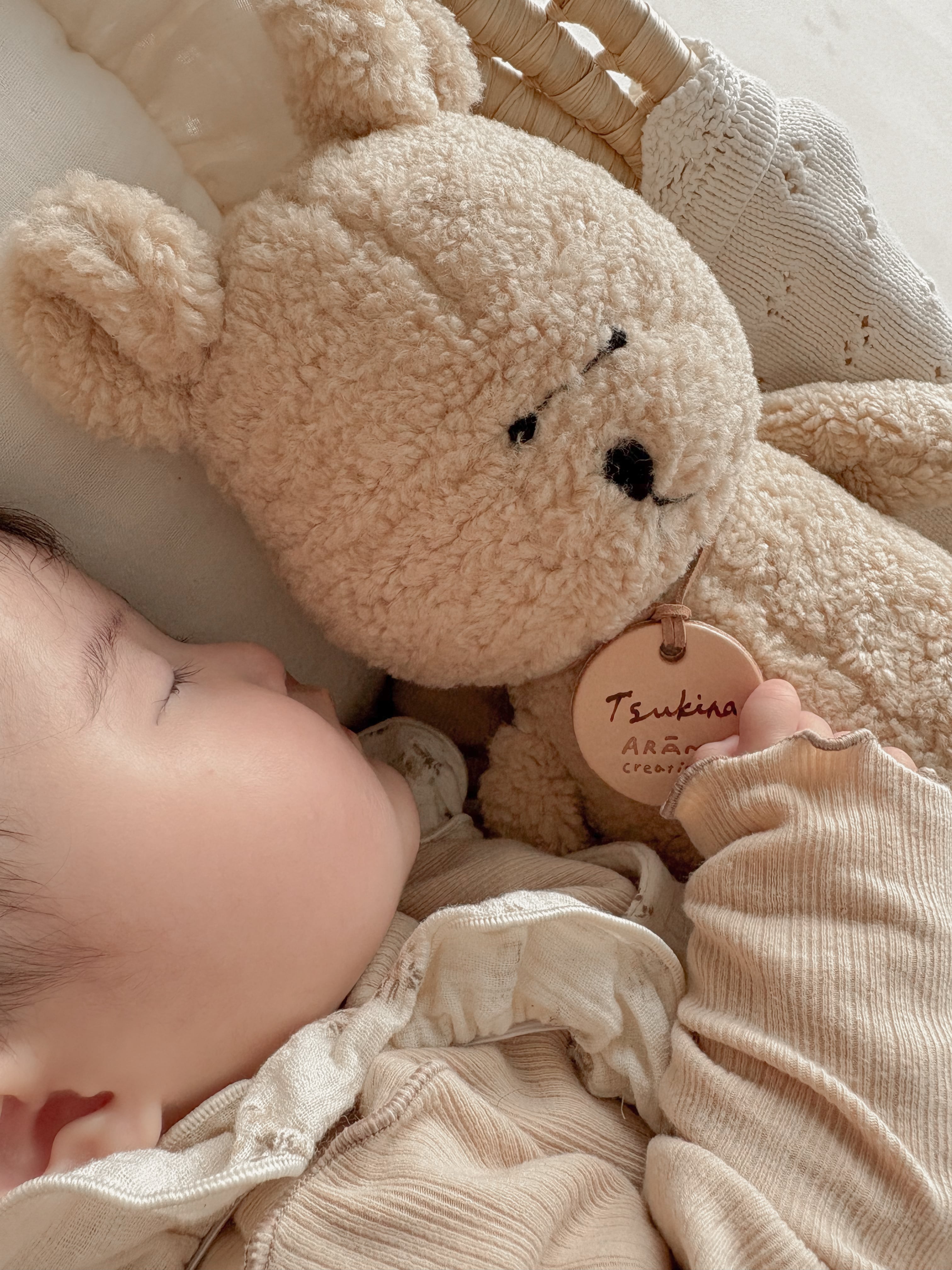 Teddy nuts 2026 | ARĀM creations