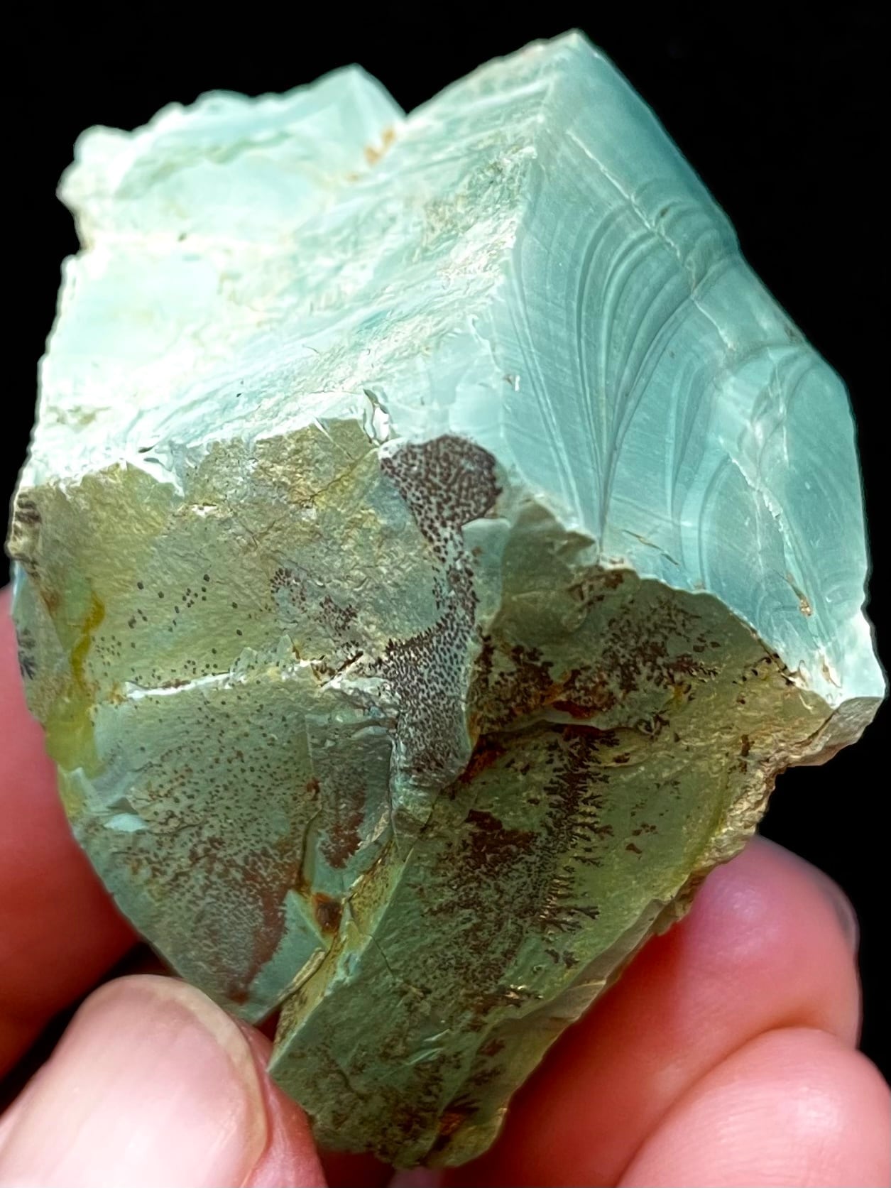 f670c8eb37ced5be828a09d907da99