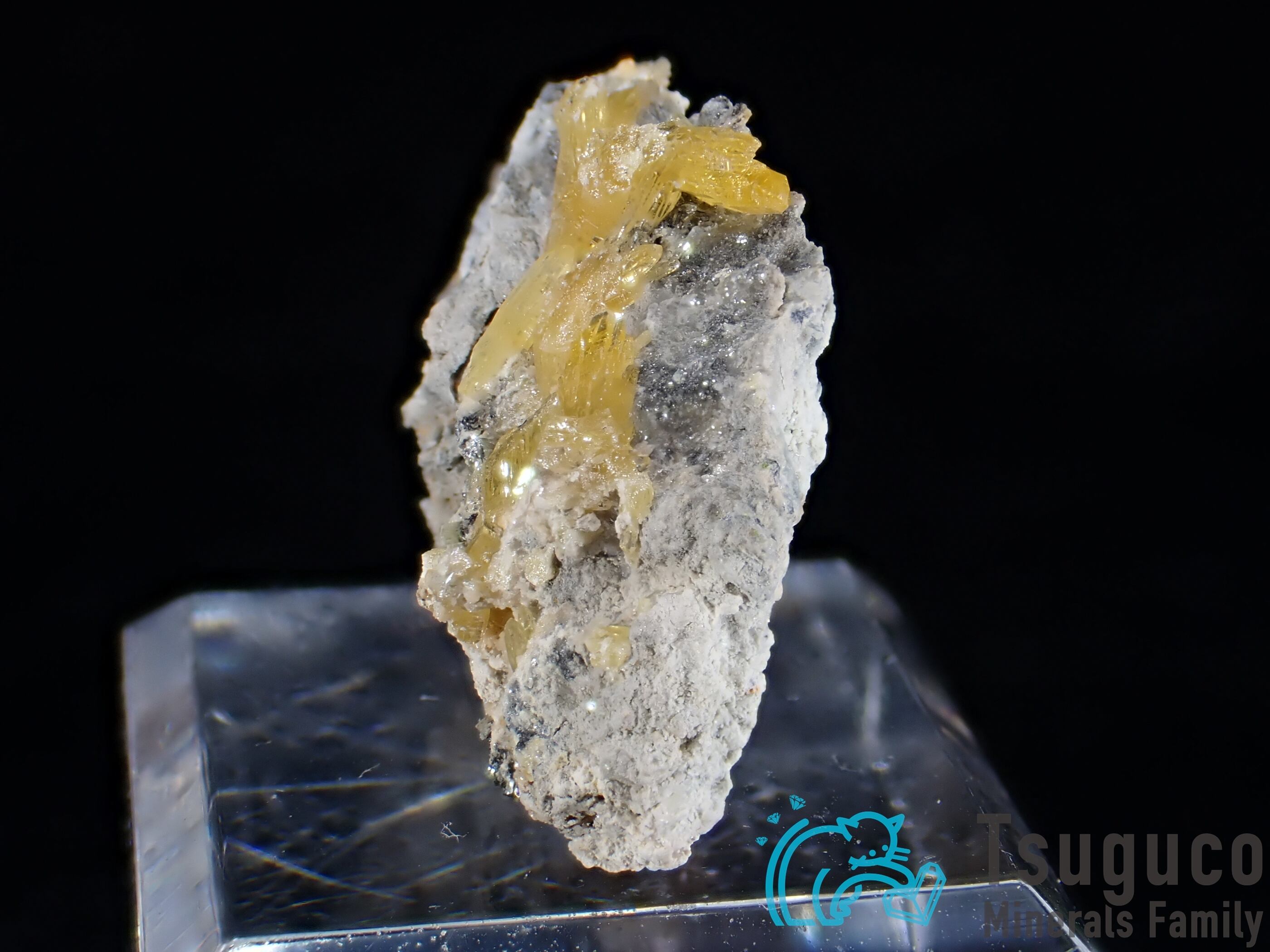 ミメタイト ミメット鉱 黄鉛鉱 ナミビア TM-529 | つぐこみねらるず