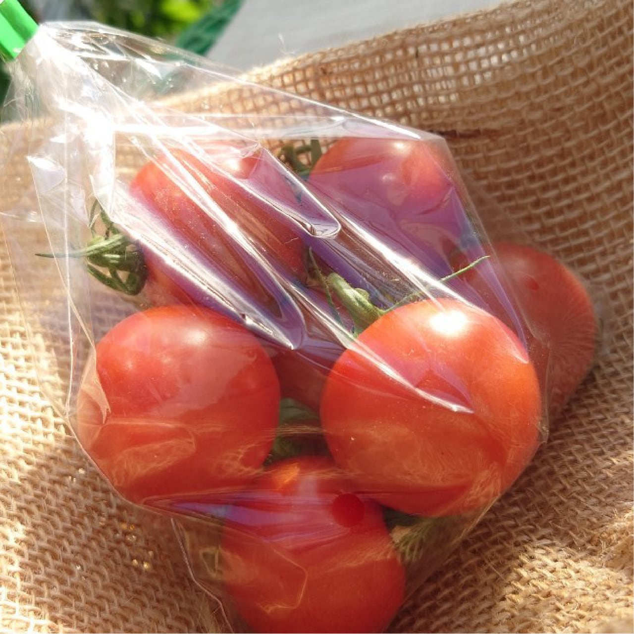 とまと。出品 f67add31e23f51e04cae5531cfa9bc