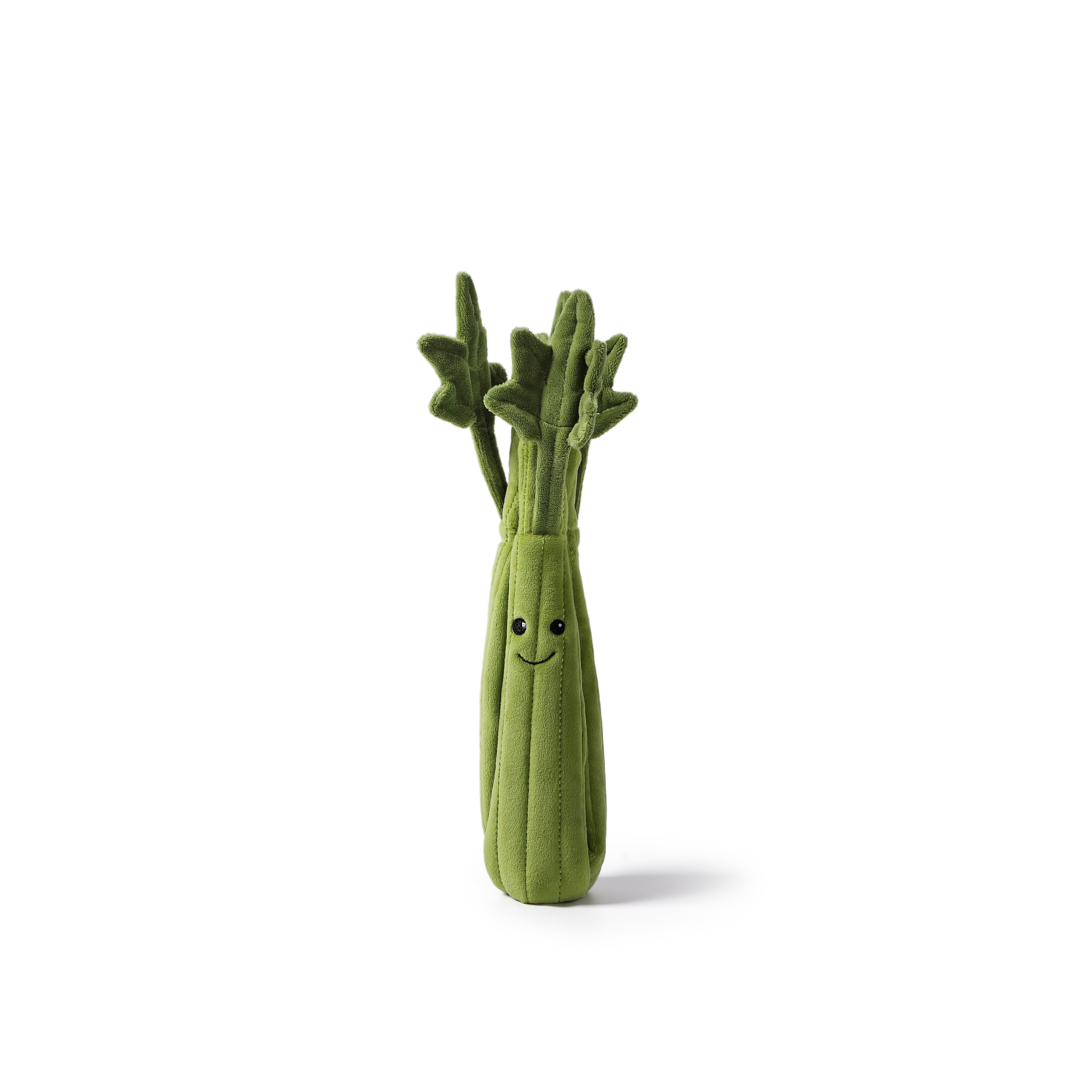 Slim Celery_MC400177