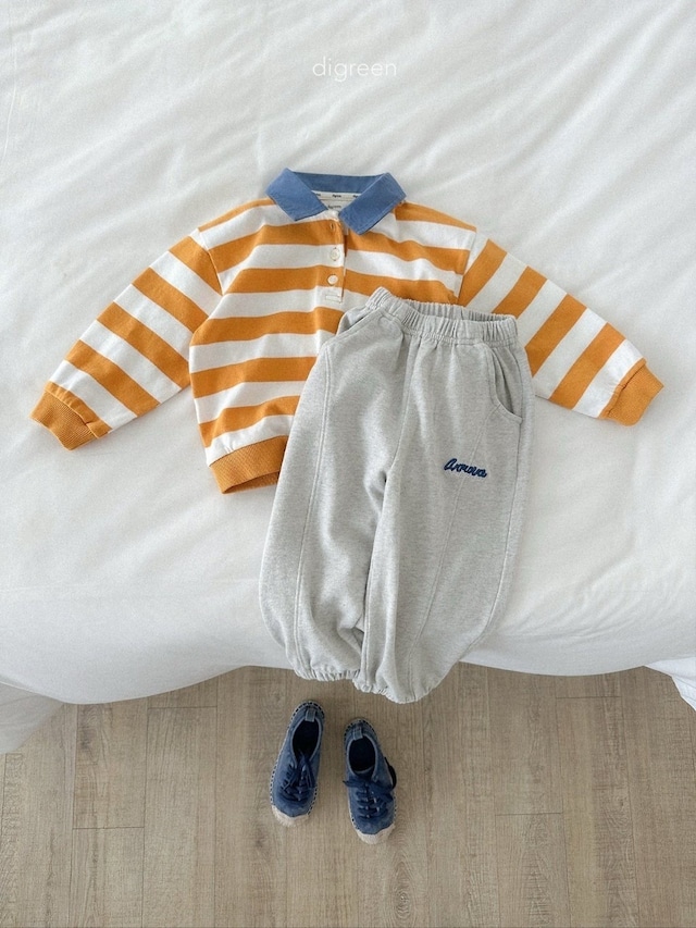 〘予約〙digreen / striped collar mtm