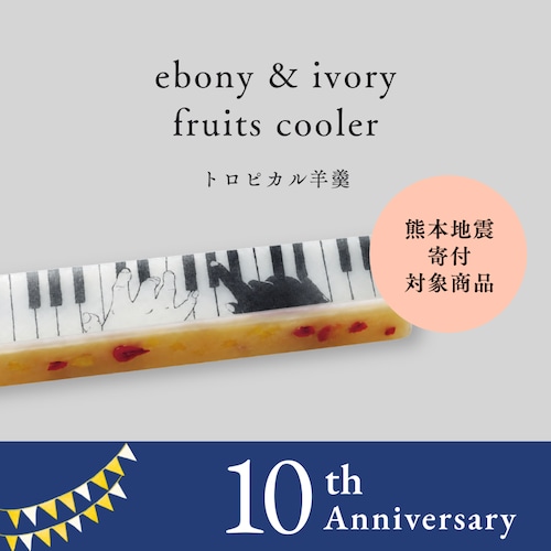【アート羊羹】ジャズ羊羹 ebony & ivory  fruits cooler