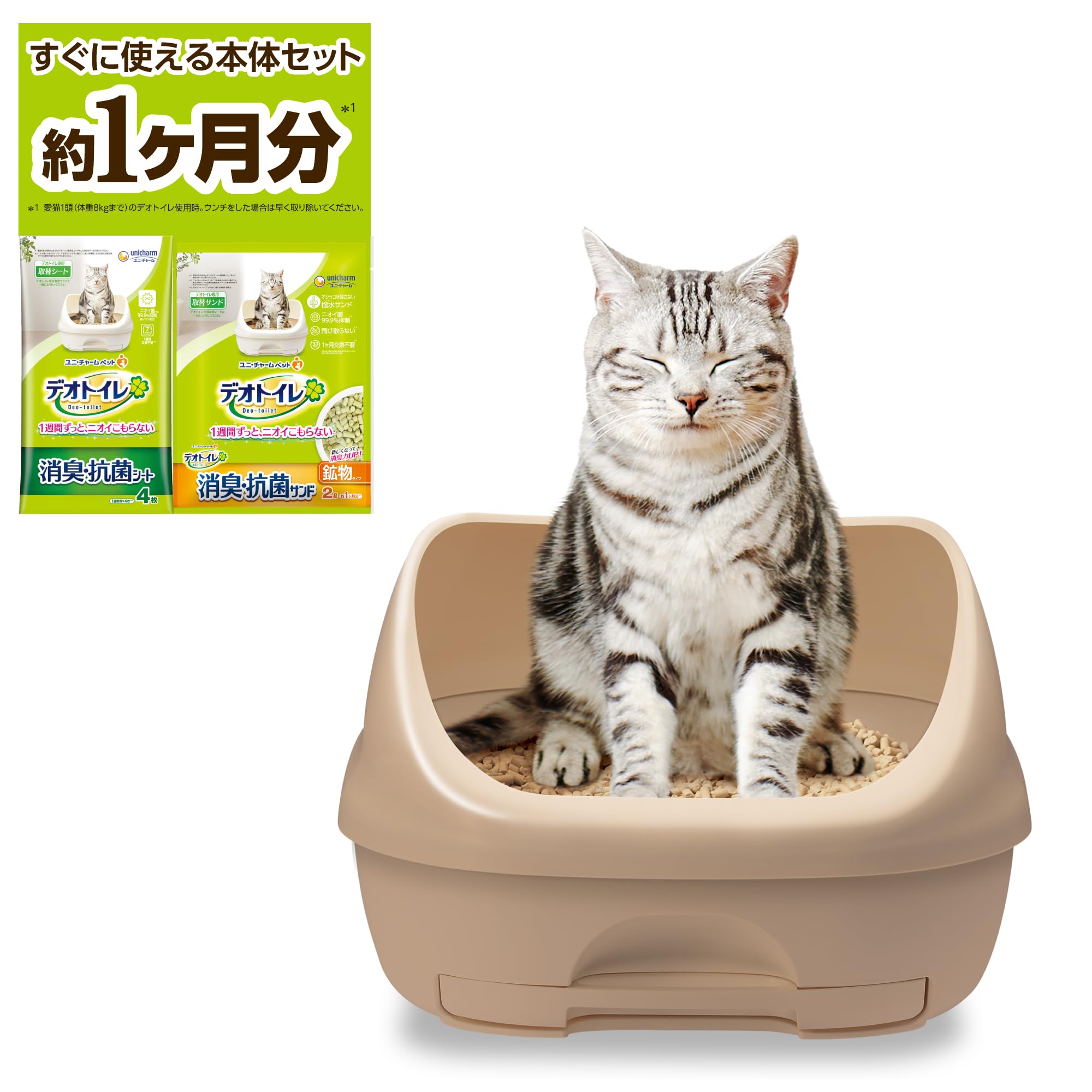 美品 バッタ君 町に行く 国内正規品セル版 f67f725c4ec87a0d0c76eb1bef4cc3