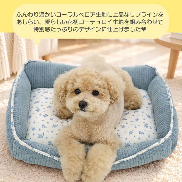 【予約販売10％OFF】jelly bear reversible bed Lsize 2color  / 犬用 ベッド リバーシブル 両面 ふんわり 冬 可愛い クッション ペットマット 猫用 韓国 ペット用品 小型犬 中型犬 ハウス 高級 犬 ペットベッド