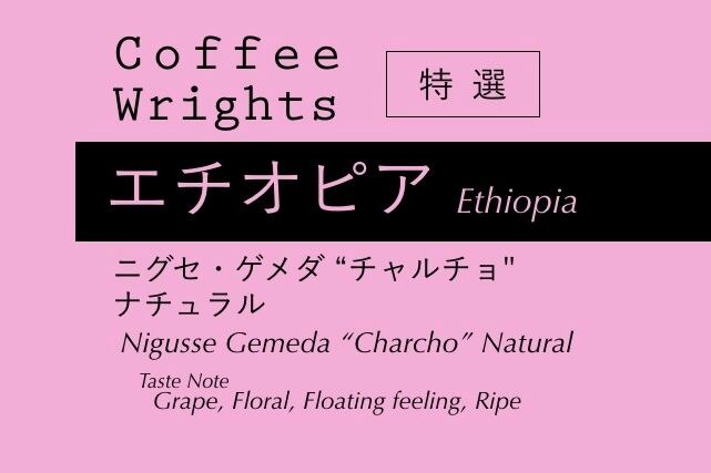 エチオピア ゲテブ・ゴチチ Lotビレ 1kg 5個セット オニバスコーヒー 送料無料 ウエストアルシ G1 ナチュラル レフィサ ⁄ エチオピア \u2015 Speciality