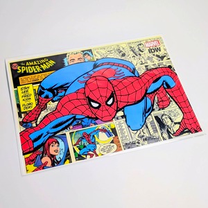 ちょうどいいB4ポスター【 AMAZING SPIDERMAN  ( スパイダーマン ) 】〚アメリカン雑貨 アメトイ〛