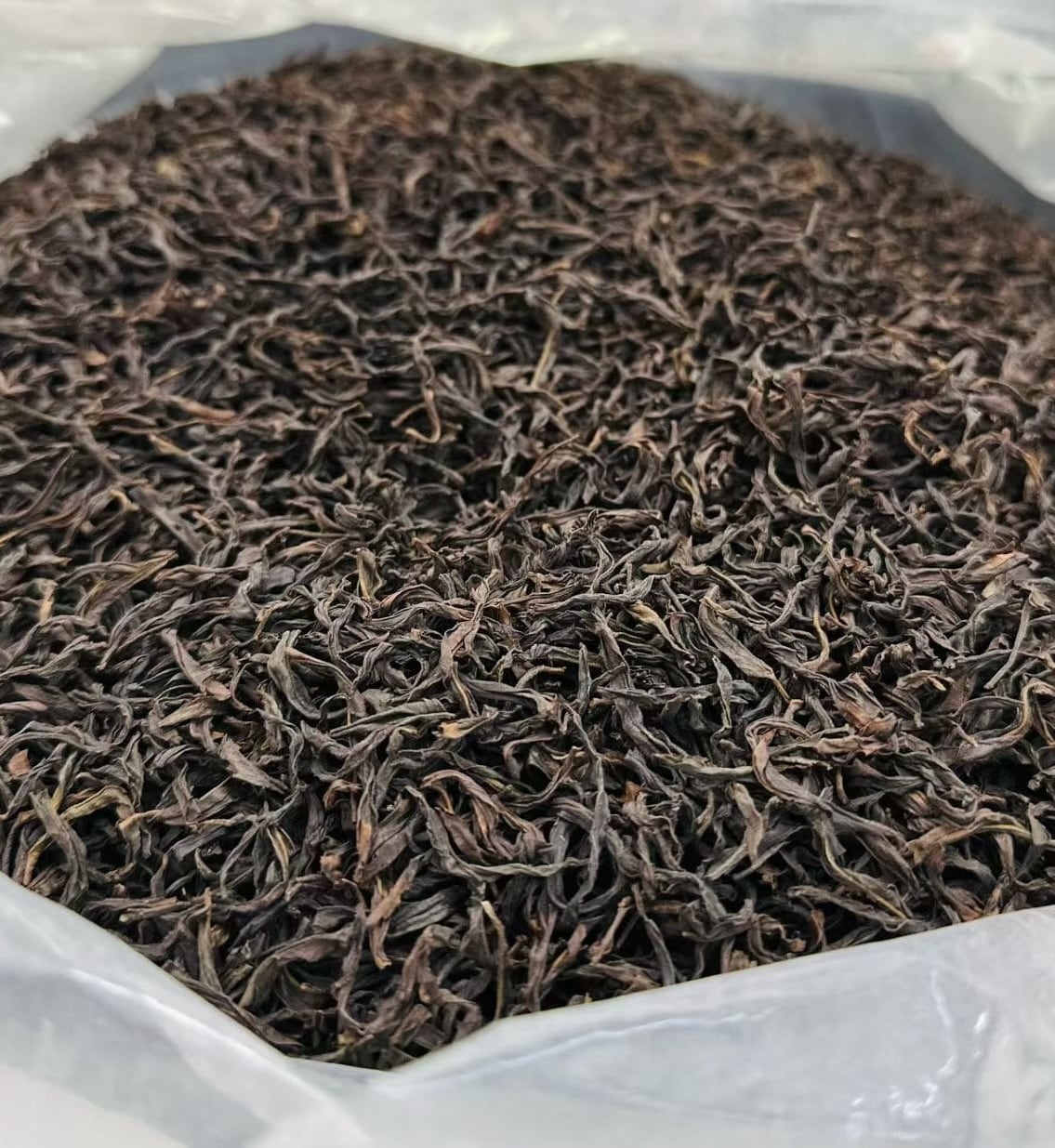 鳳凰単叢 大容量の中足火〜足火【日常シリーズ】【有償サンプル】