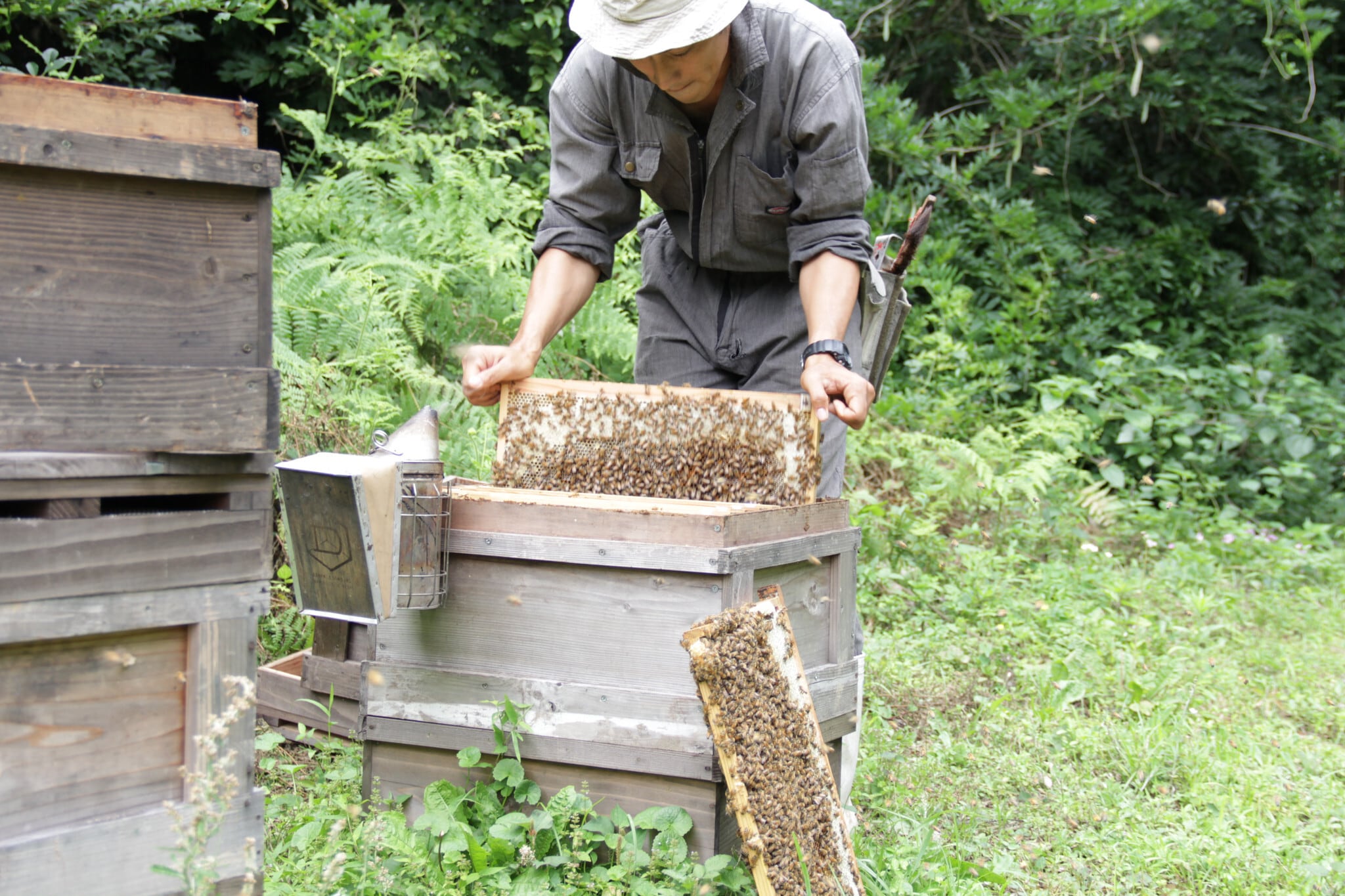 盛夏の花々（からすざんしょう百花） 200g | ボトルタイプ | 国産