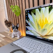 \ 公式ショップ限定価格❣️/ 2K高画質《新型2022年モデル》タッチ対応【Let's note FV1〕メモリ16GB SSD256GB ノートパソコン 安心サポート&3ヶ月保証付き