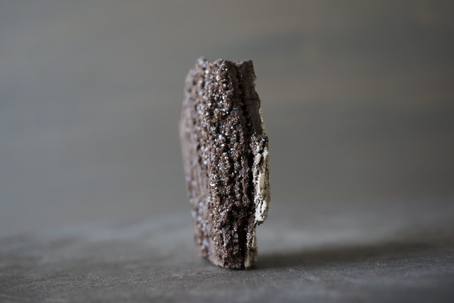 ドイツ産珪化木/クォーツ　Petrified Wood / Quartz　897