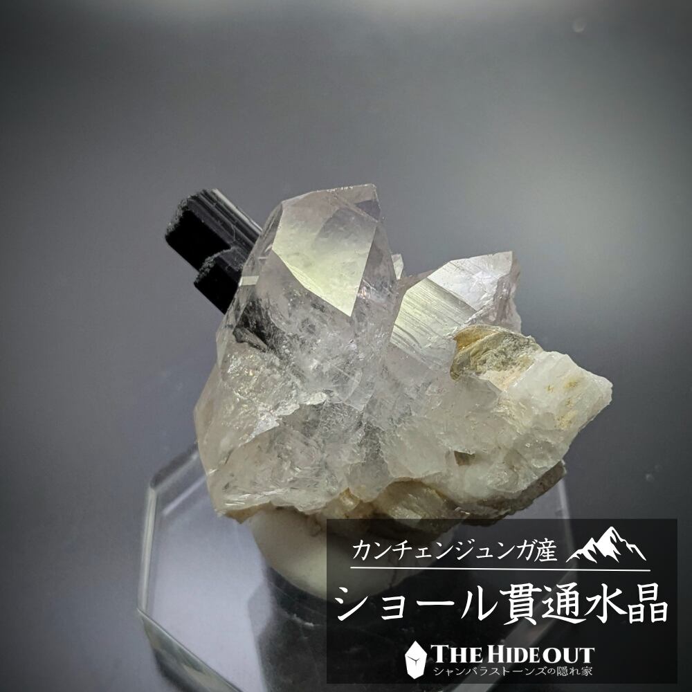 ヒマラヤ産鉱物原石標本005 タプレジュン地区産ショールトルマリン 水晶に完全ぶっ刺さり、こういうの刺さりません?