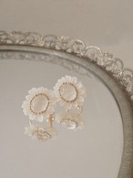白陽の花