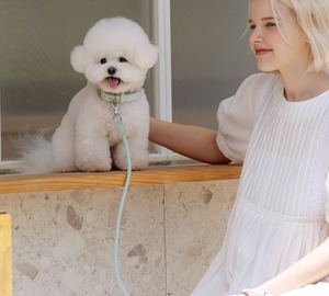 即納【stroll】Leather Collar (Mint)